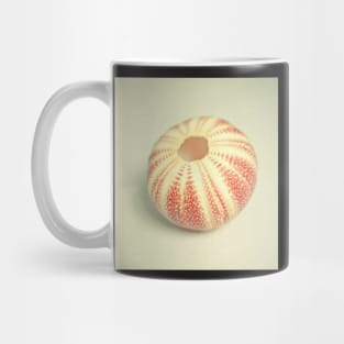 Sea Urchin Mug